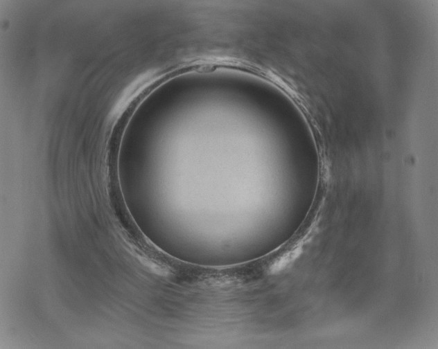 X0000071850199200606301345