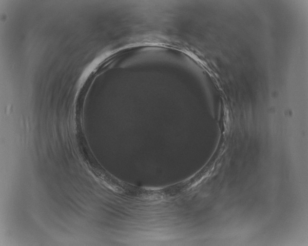 X0000071850200200606301345