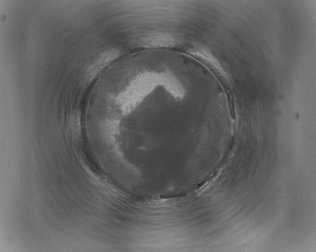 X0000071850202200606301345