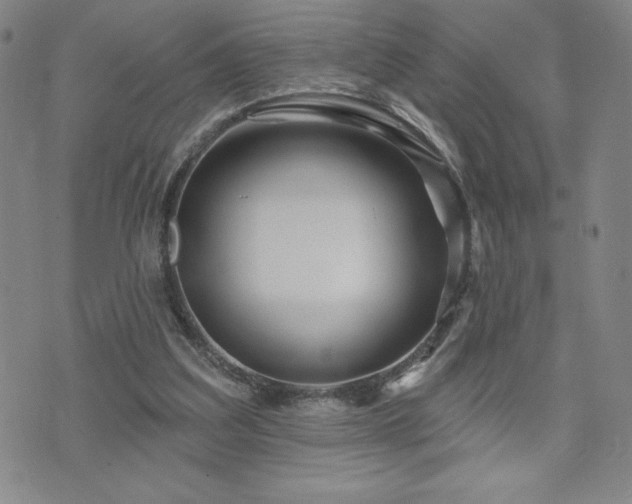 X0000071850203200606301345