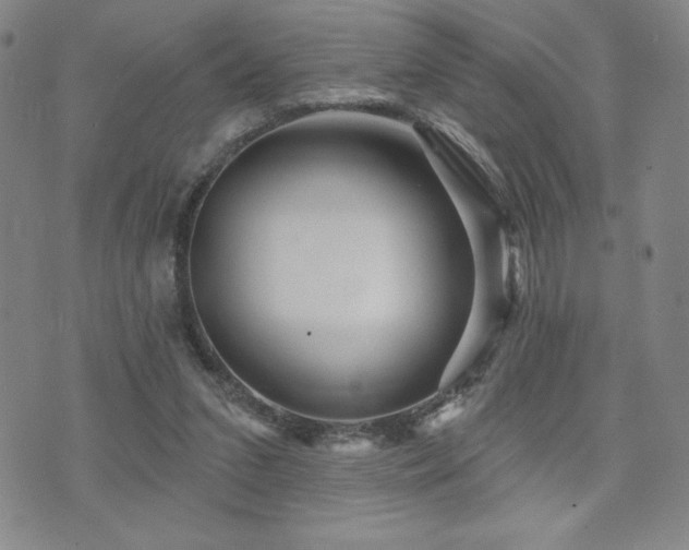 X0000071850207200606301345