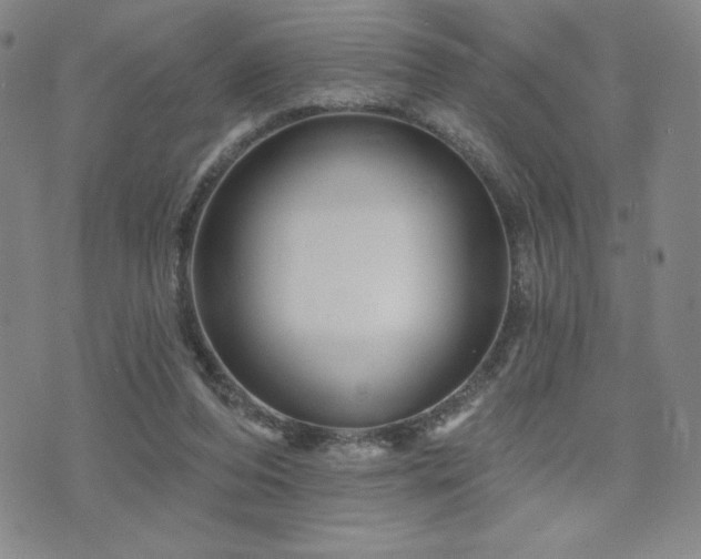 X0000071850208200606301345