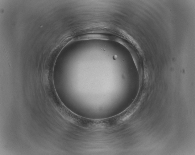 X0000071850209200606301345