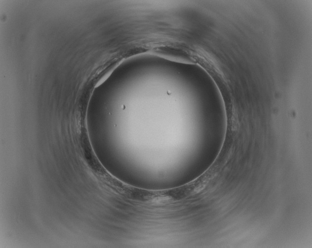 X0000071850210200606301345