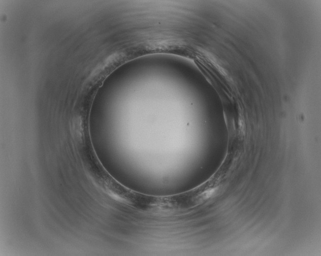 X0000071850211200606301345