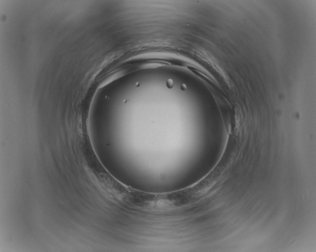 X0000071850212200606301345