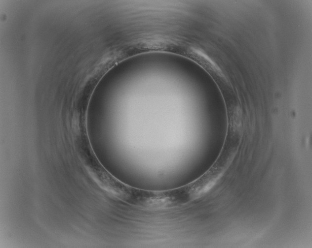 X0000071850213200606301345