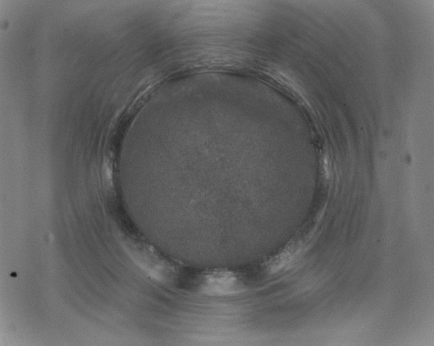 X0000071850214200606301345