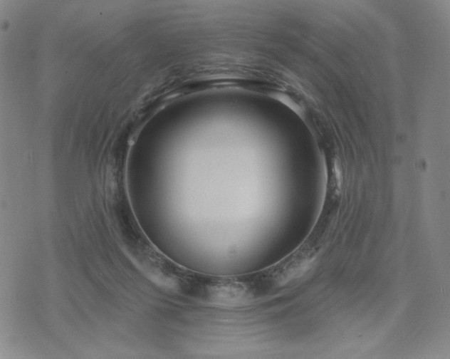 X0000071850215200606301345