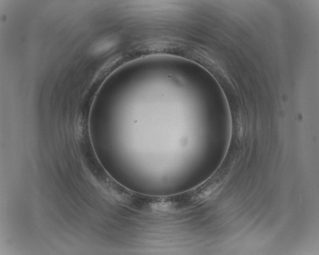 X0000071850216200606301345