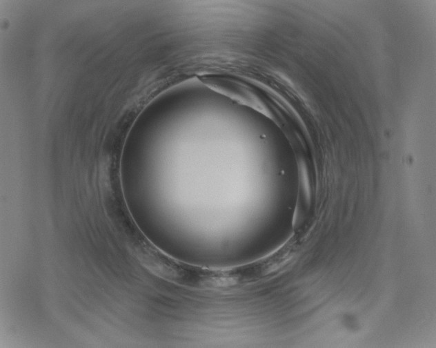 X0000071850217200606301345