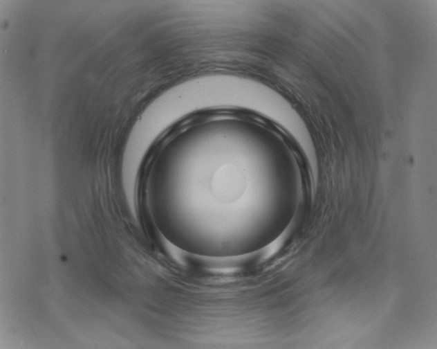 X0000071850219200606301345