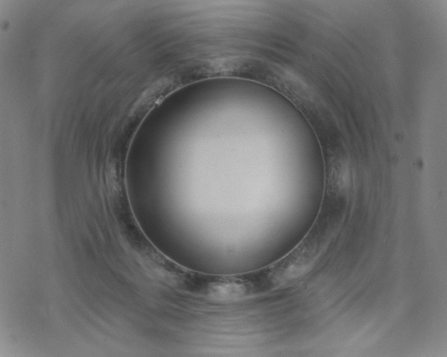 X0000071850220200606301345