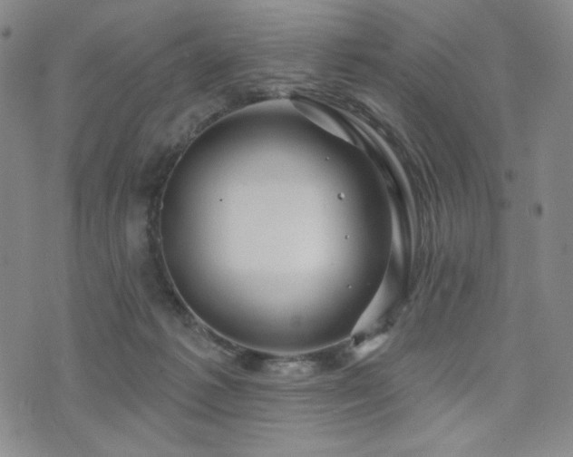 X0000071850221200606301345