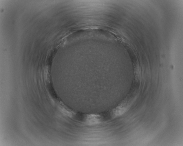 X0000071850222200606301345