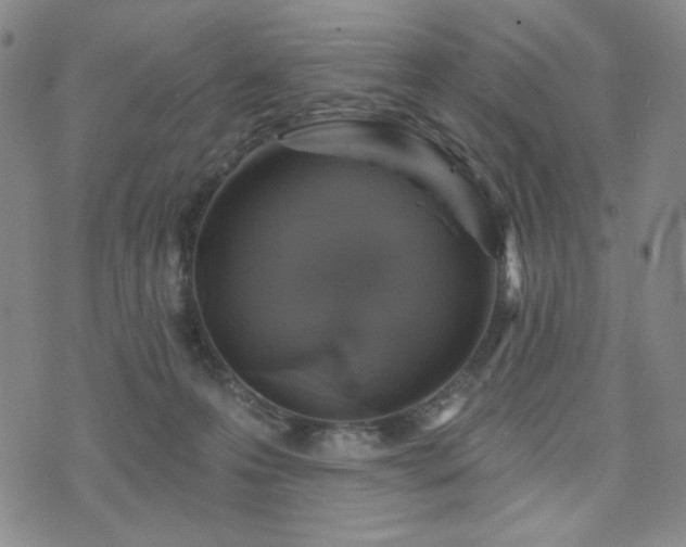 X0000071850223200606301345