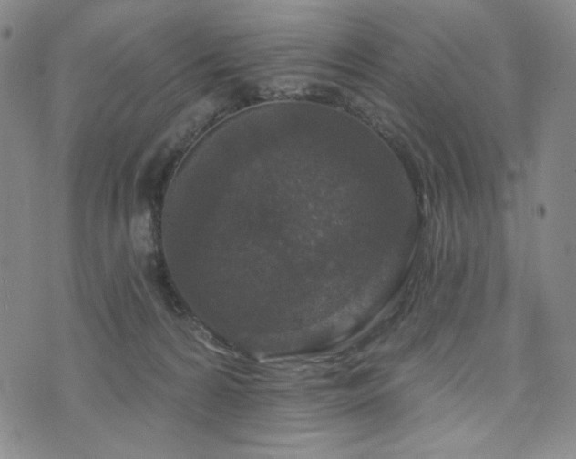 X0000071850224200606301345