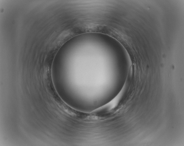 X0000071850225200606301345