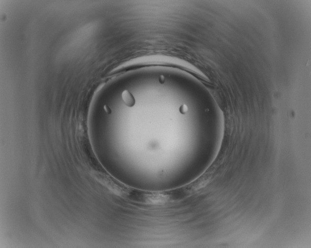 X0000071850226200606301345