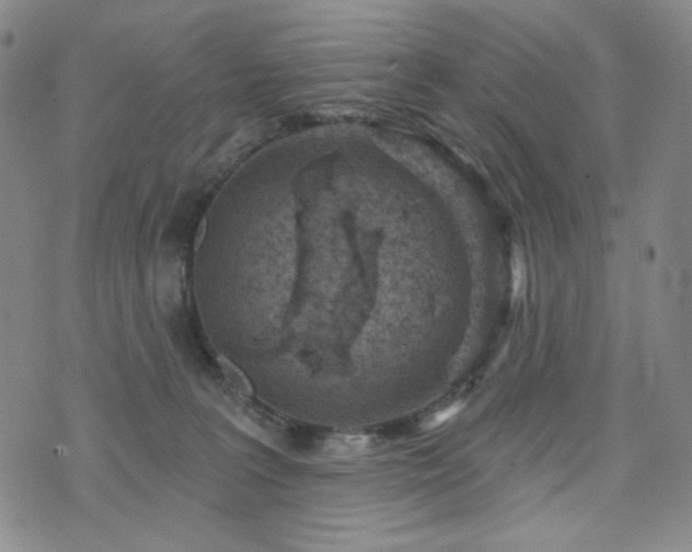 X0000071850227200606301345