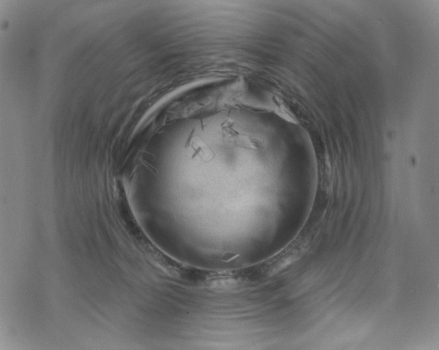 X0000071850228200606301345