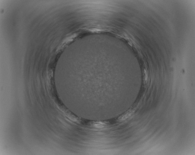 X0000071850229200606301345