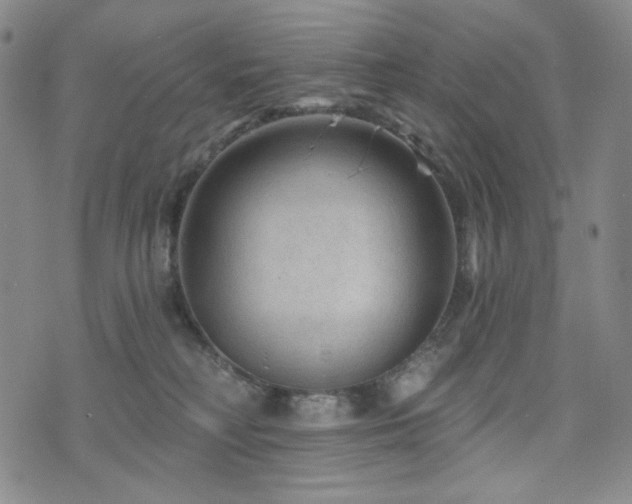 X0000071850230200606301345