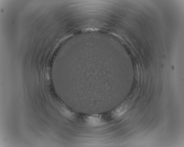 X0000071850232200606301345