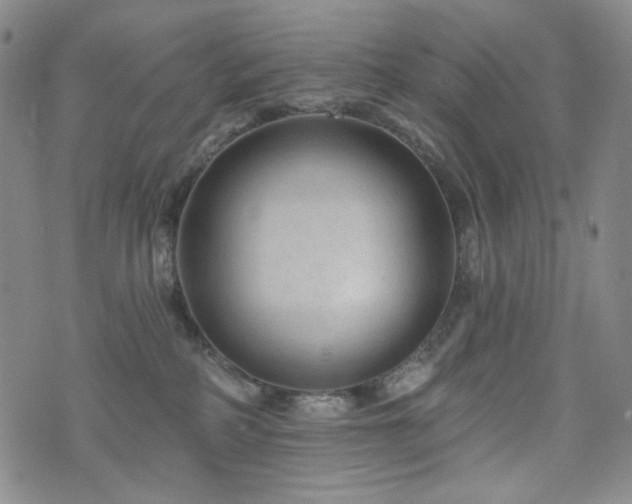 X0000071850234200606301345