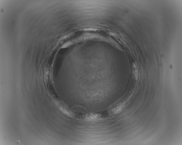 X0000071850235200606301345