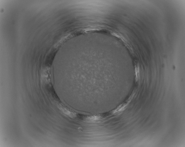 X0000071850237200606301345