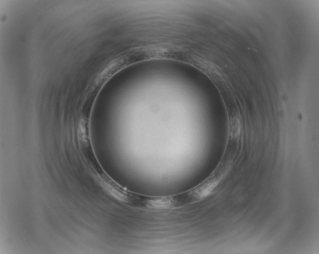 X0000071850238200606301345