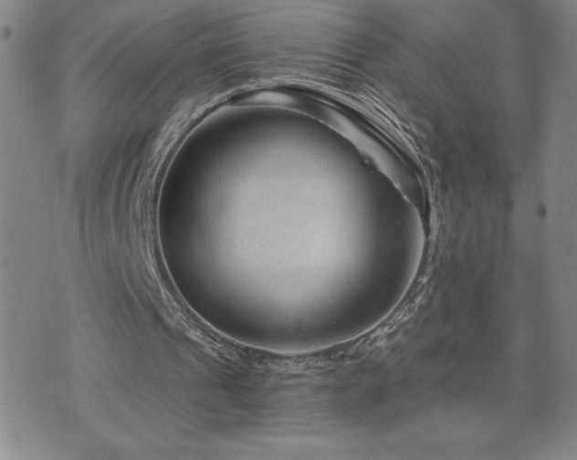 X0000071850241200606301344