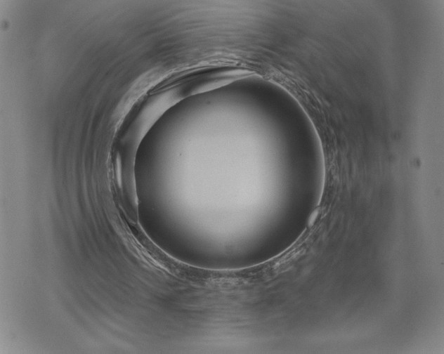 X0000071850242200606301344