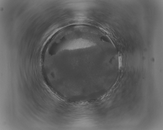 X0000071850243200606301344