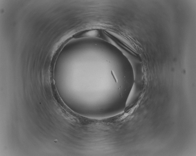 X0000071850244200606301344