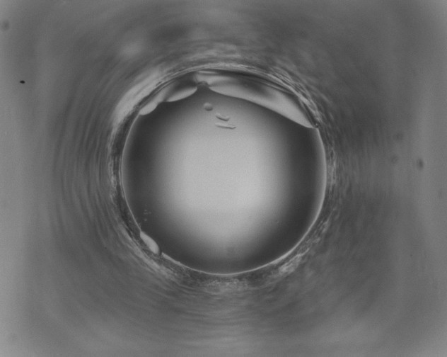 X0000071850245200606301344