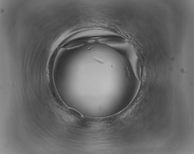 X0000071850246200606301344