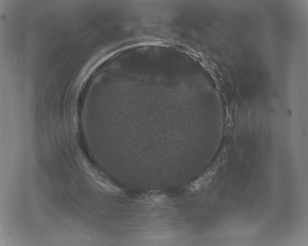 X0000071850247200606301344