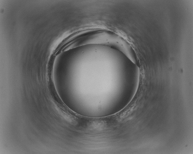 X0000071850248200606301344