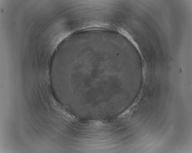 X0000071850249200606301344