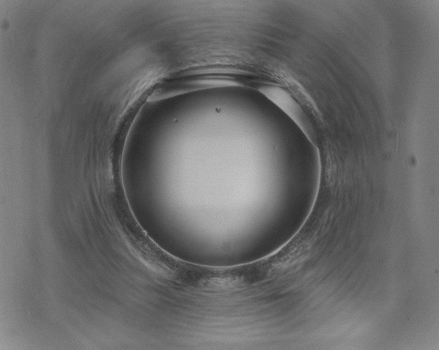 X0000071850251200606301344