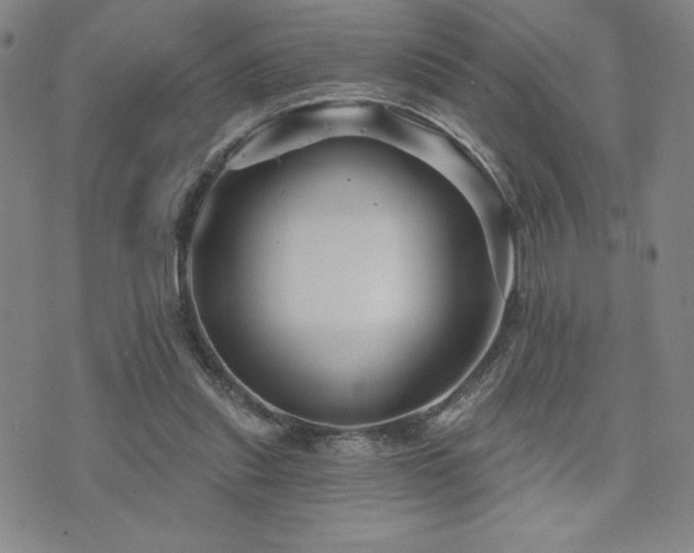 X0000071850253200606301344