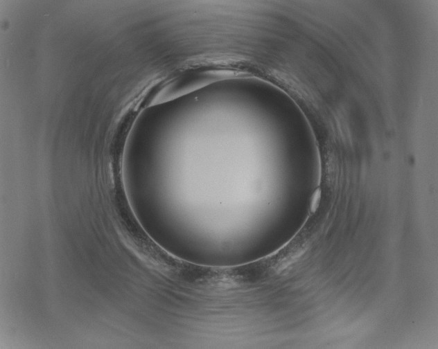 X0000071850254200606301344