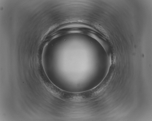 X0000071850256200606301344