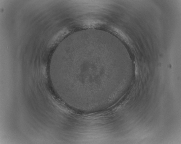 X0000071850258200606301344