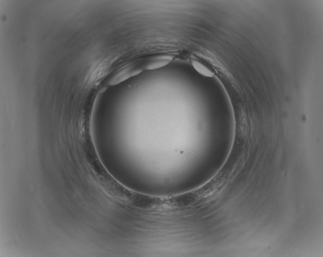 X0000071850259200606301344