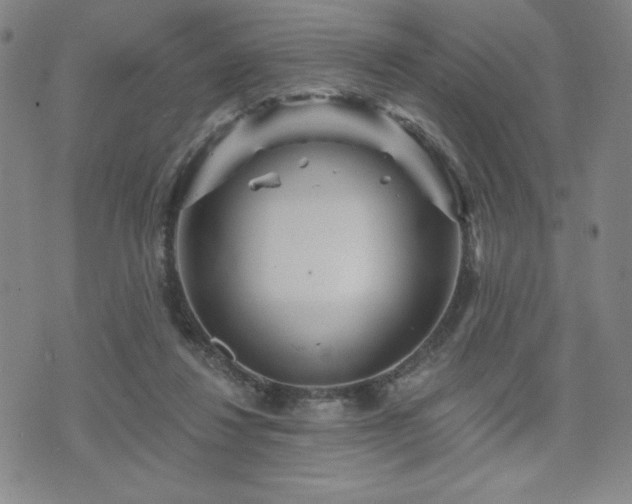 X0000071850260200606301344