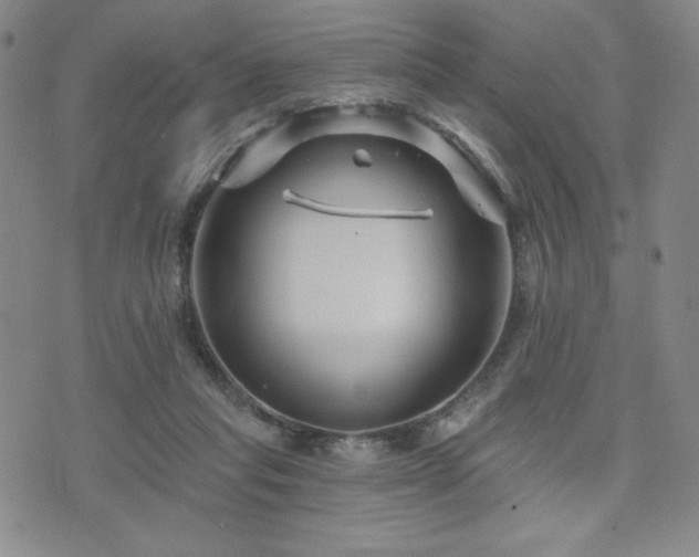 X0000071850261200606301344