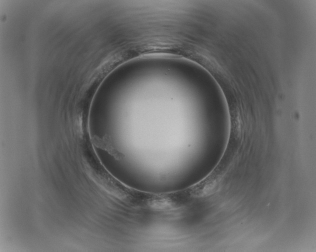 X0000071850262200606301344